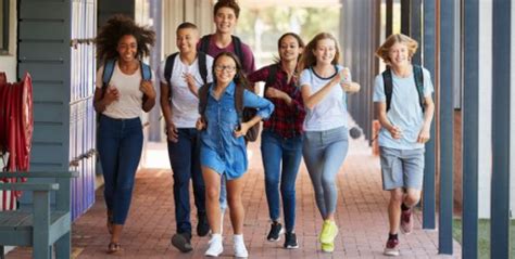 d2l hcdsb login